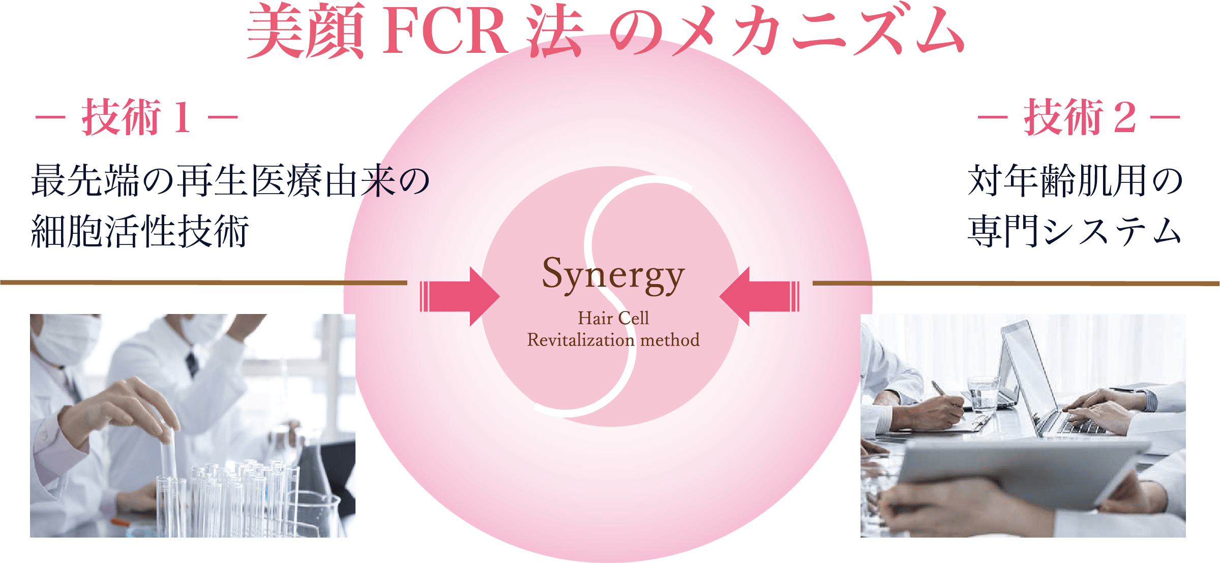 美顔FCR法のメカニズム